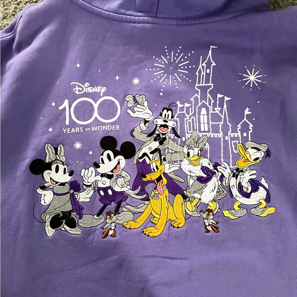 Disneyland 100th anniversary embroidered Hoodie sweatshirt - Picture 5 of 6